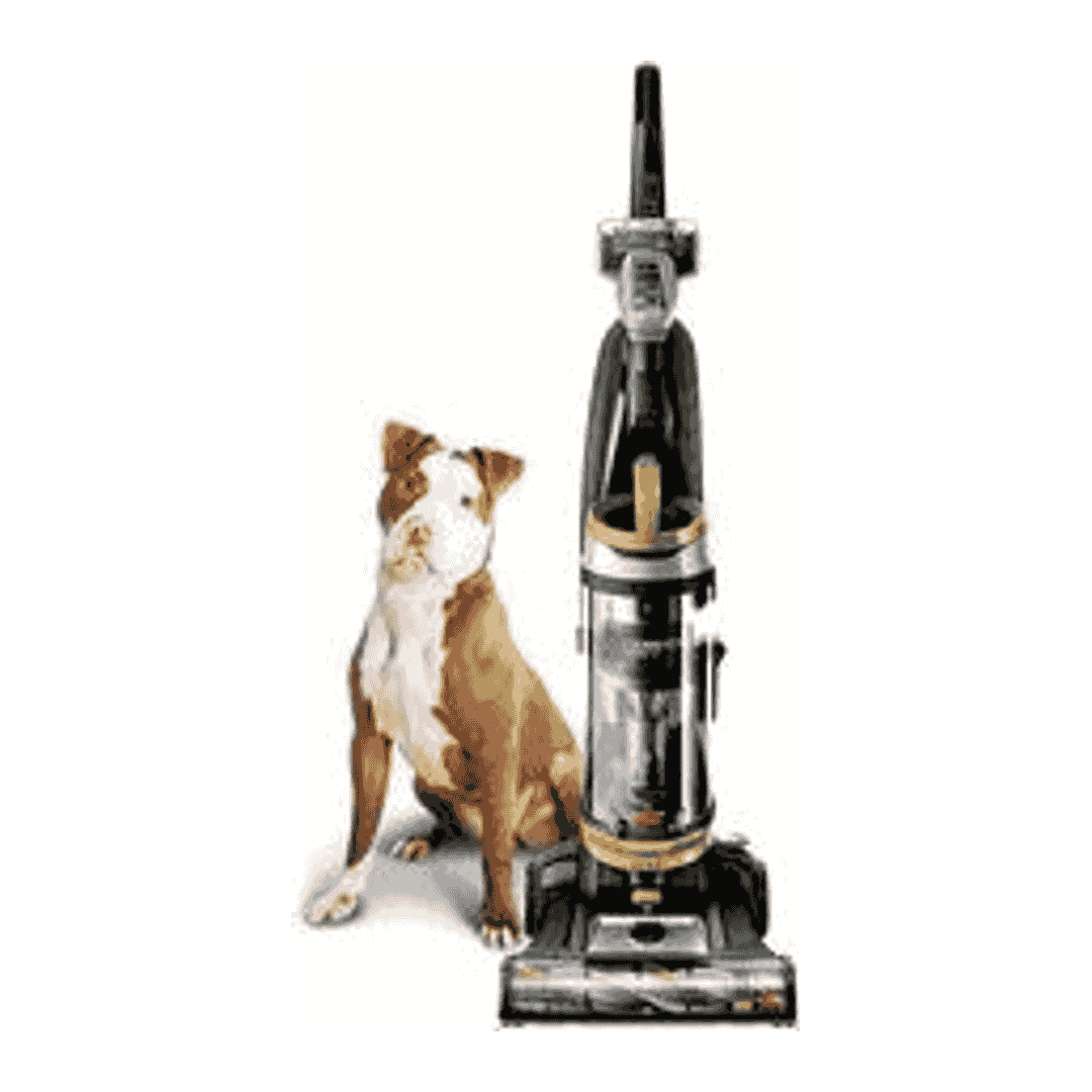 BISSELL CleanView Swivel Pet