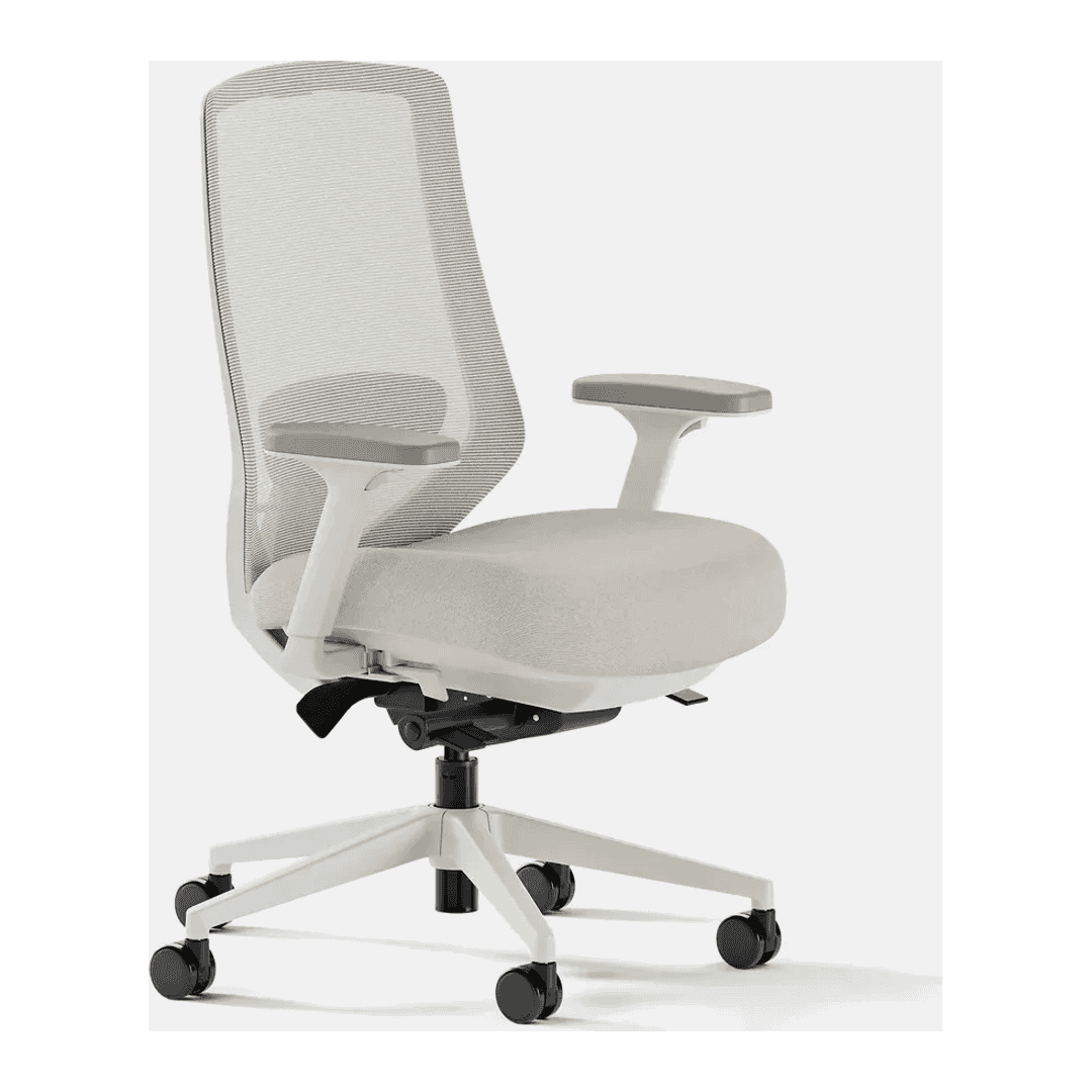 Branch Ergonomic Chair Pro