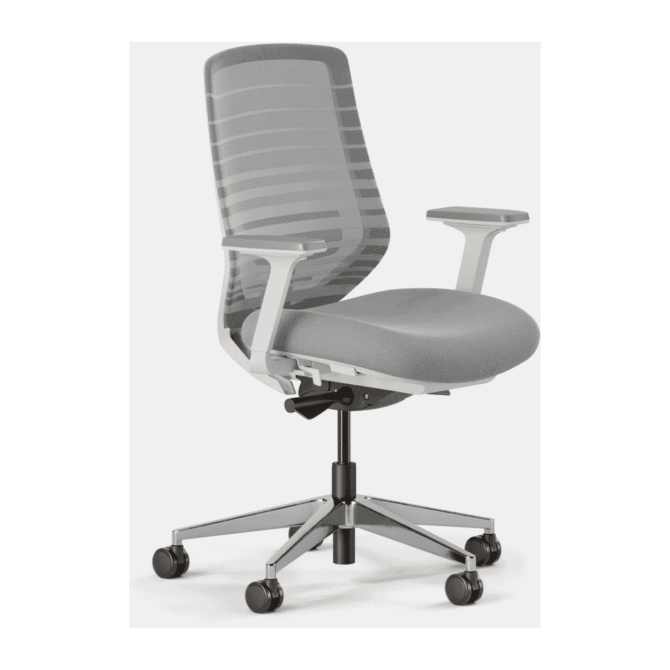Branch Ergonomic Chair