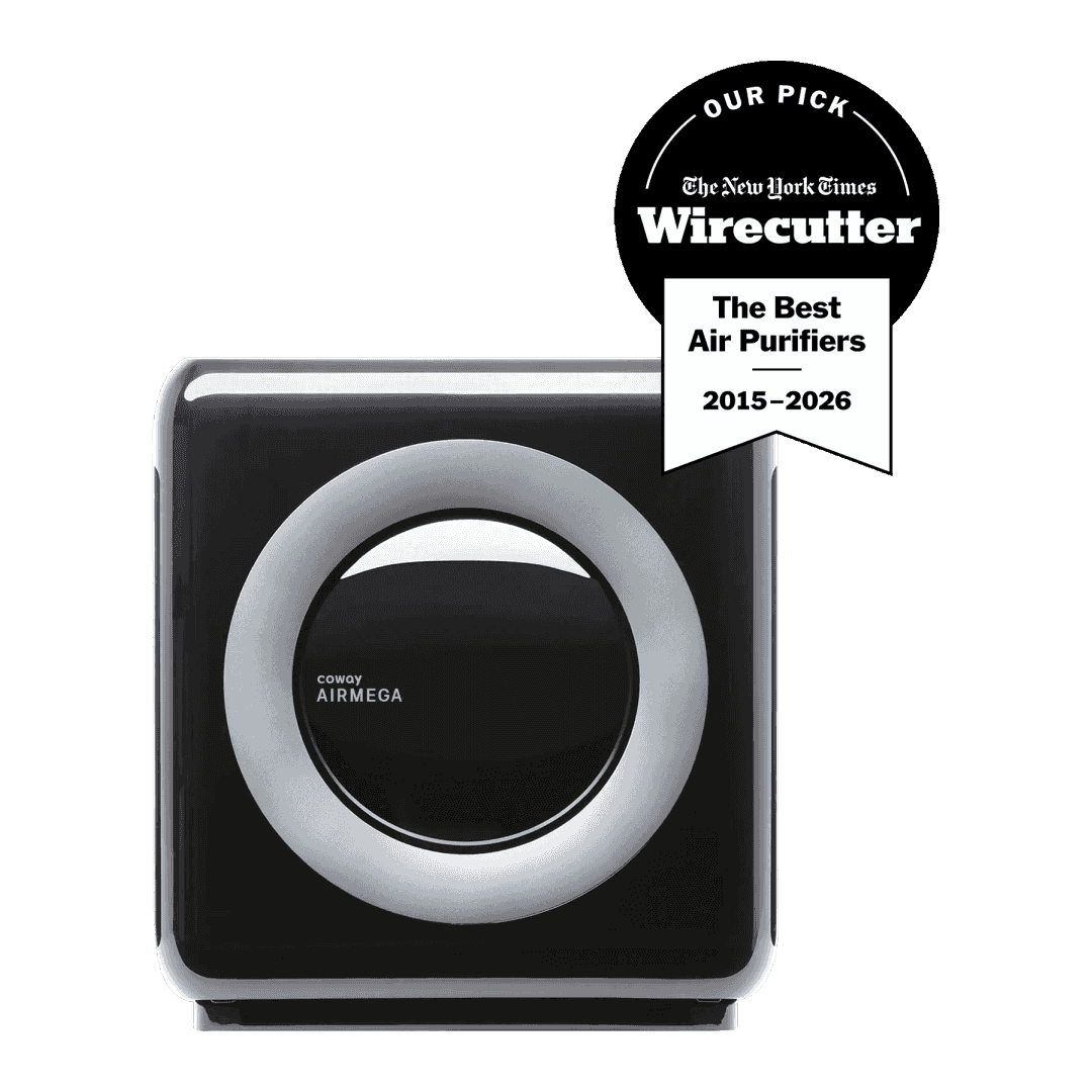 Coway Airmega Mighty