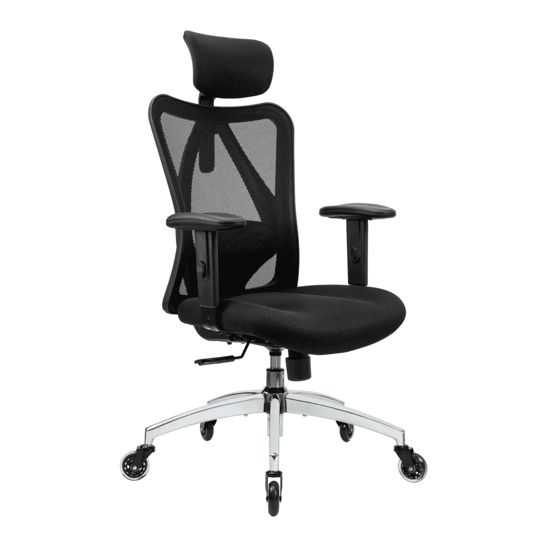 Duramont Ergonomic Office Chair