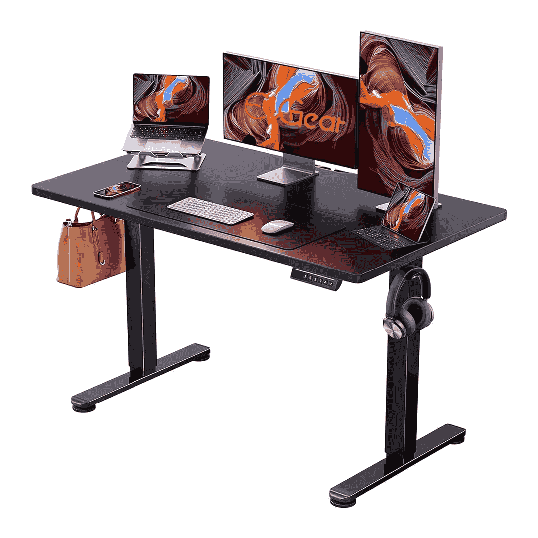 ErGear Electric Standing Desk 48x24