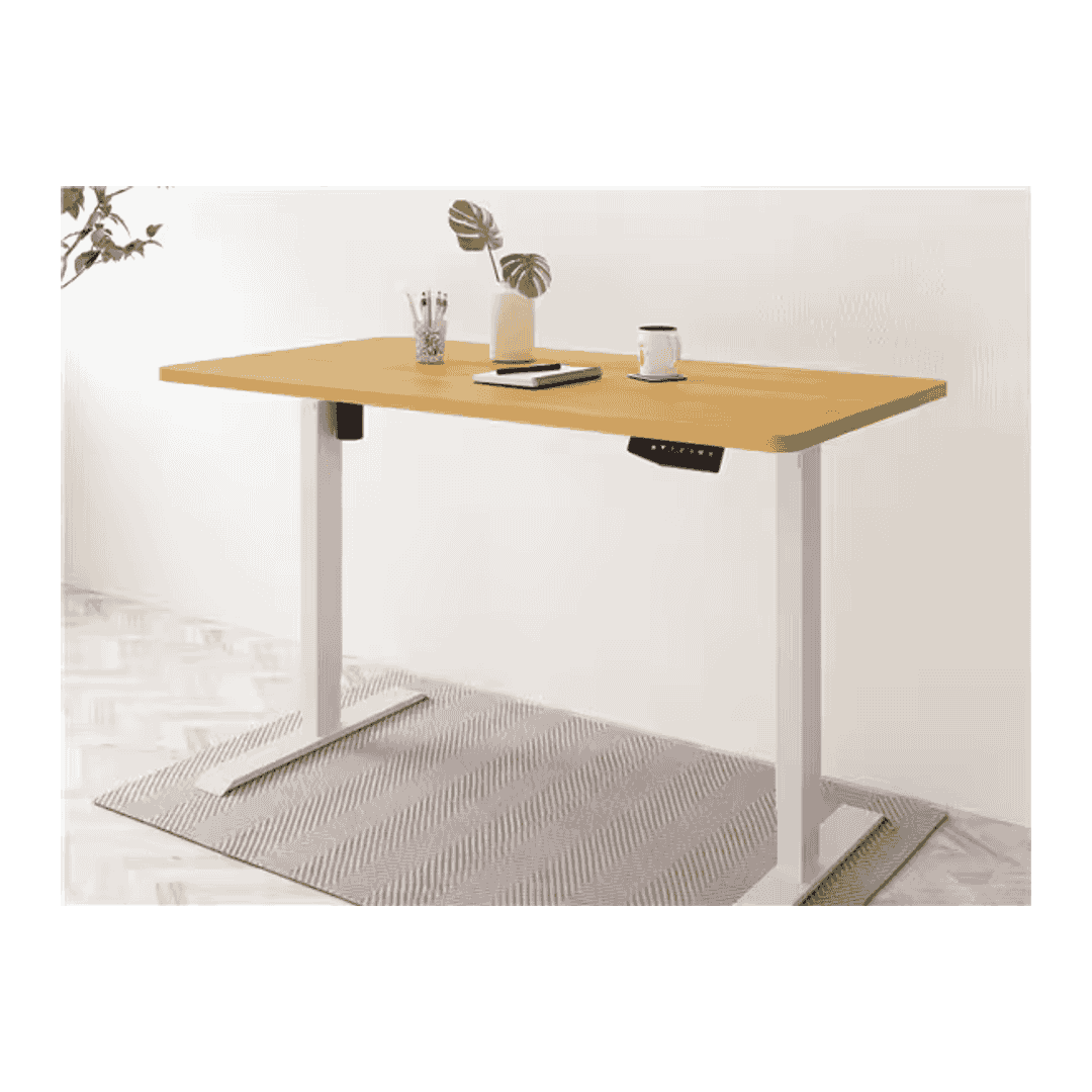 FlexiSpot EN1 Standing Desk 48x30
