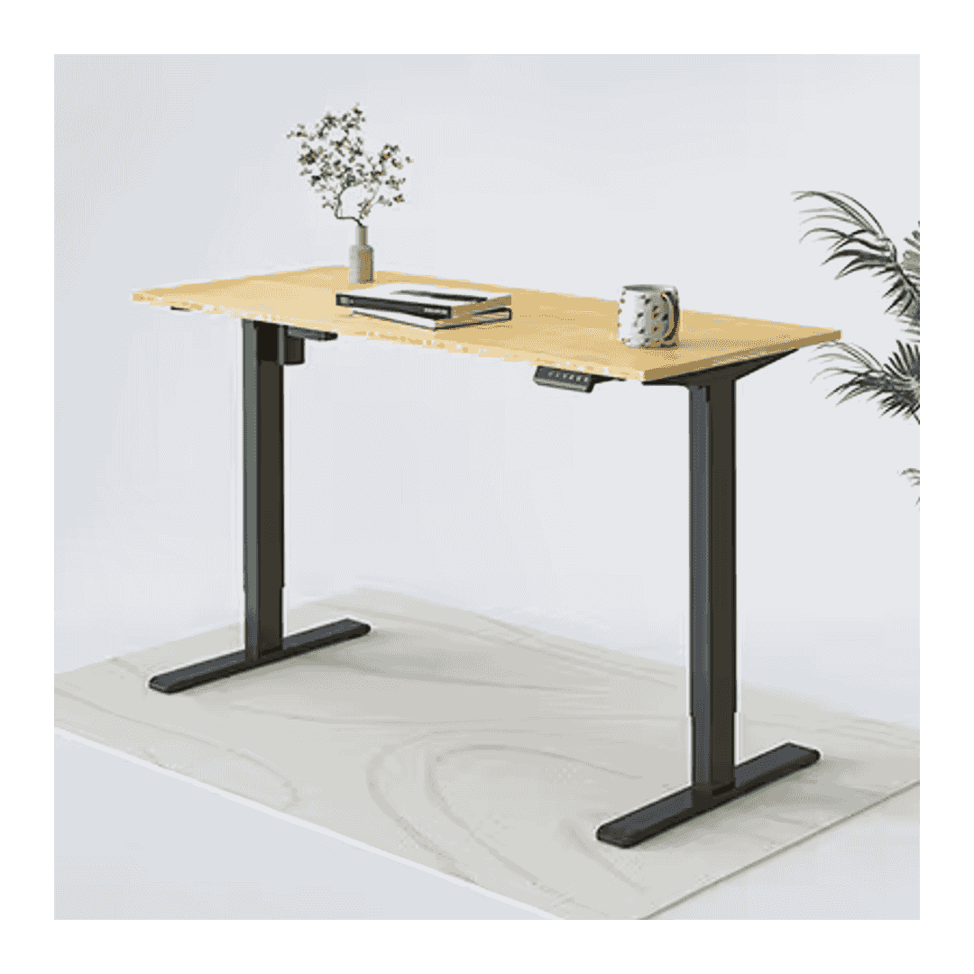 FlexiSpot EN2 Standing Desk with Power Strip 55x28