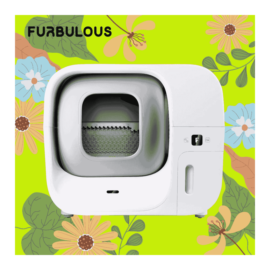 Furbulous Box
