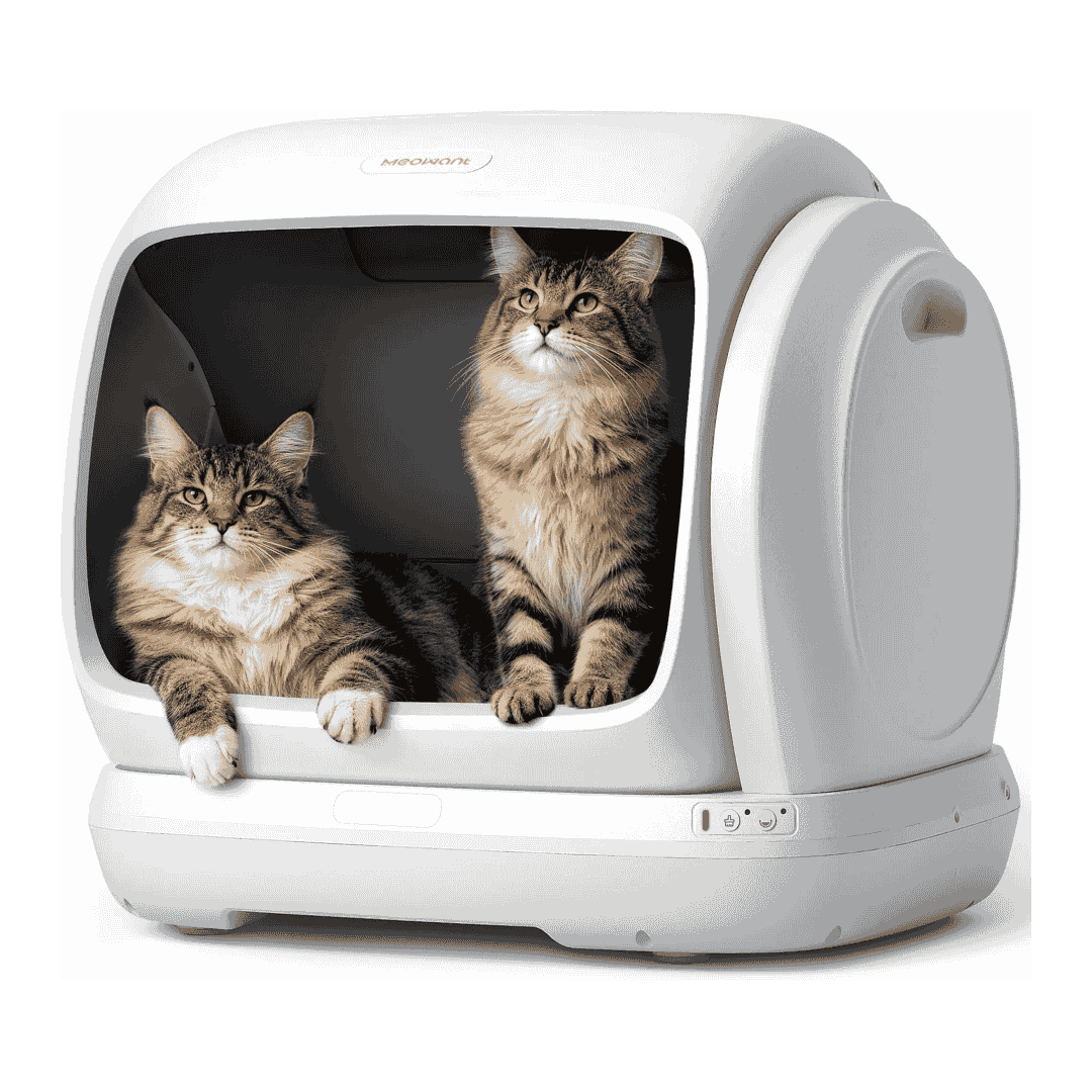 Meowant SC09