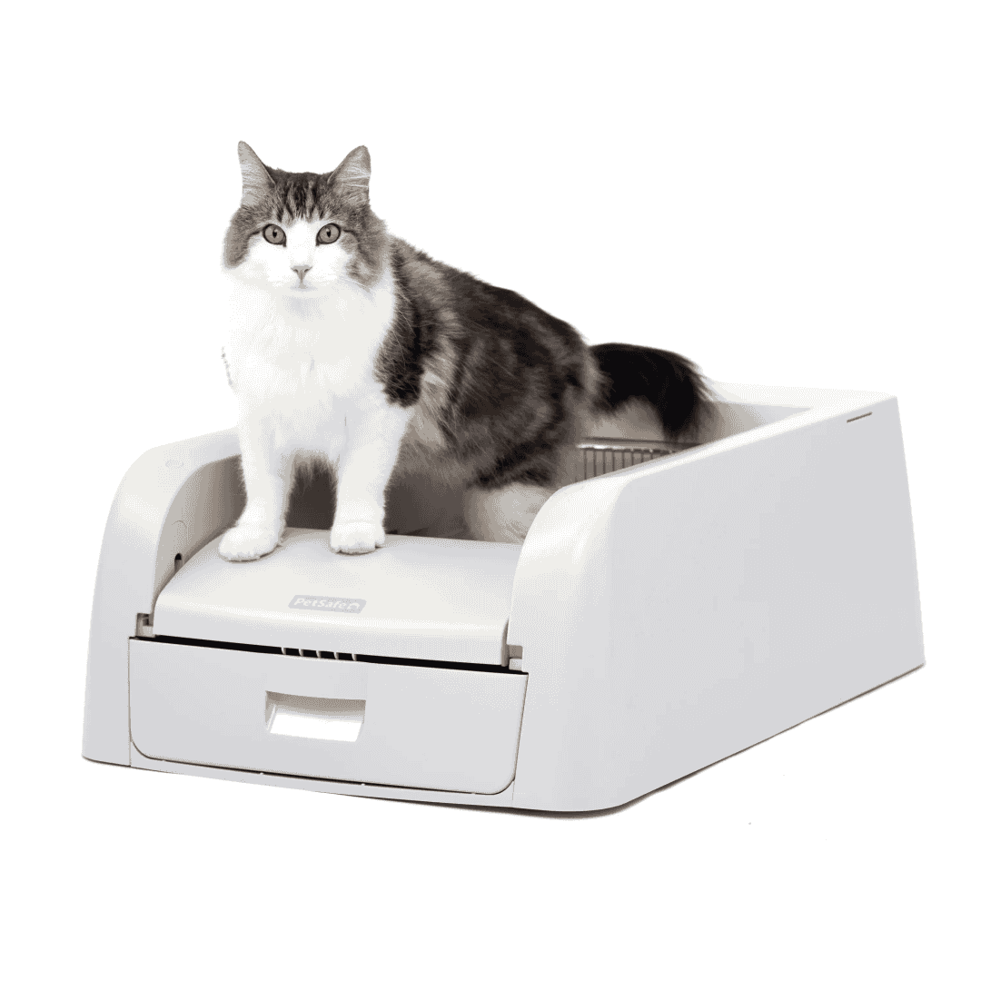 PetSafe ScoopFree Clumping Self-Cleaning Litter Box